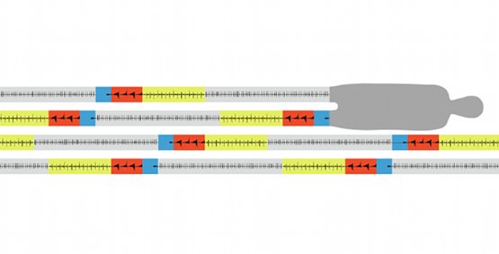 Figur Gestalten (Bild: Wolfgang Schmidt und Maik Hester)